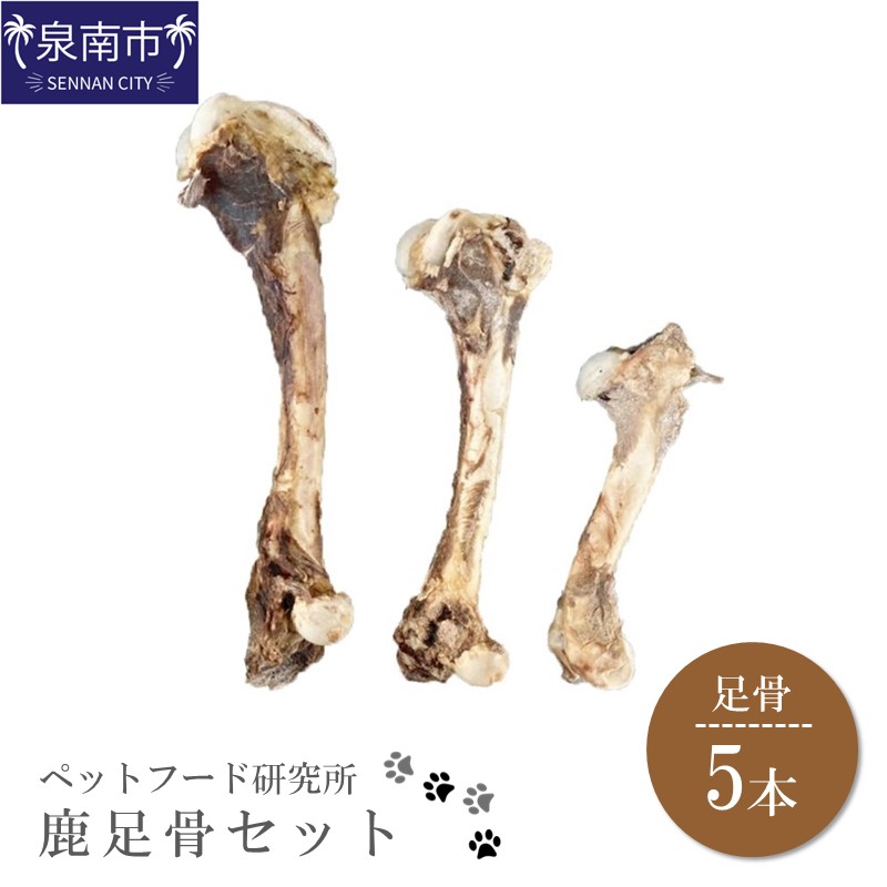 日設備特集
