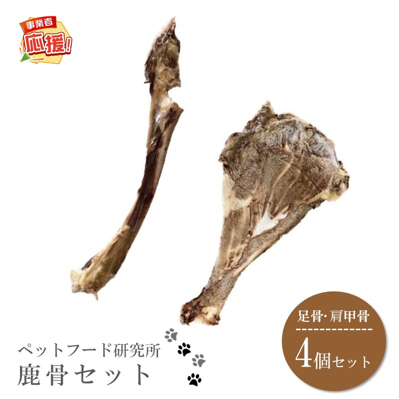 日設備特集