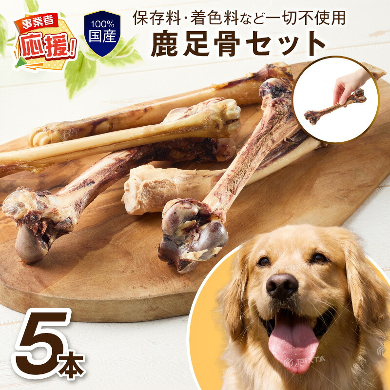 日設備特集