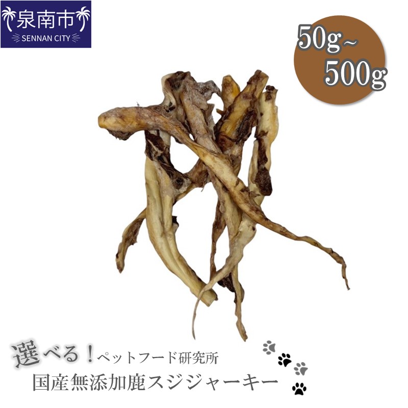日設備特集