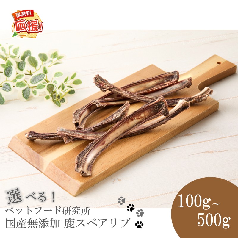 西洋手ぬぐい特集