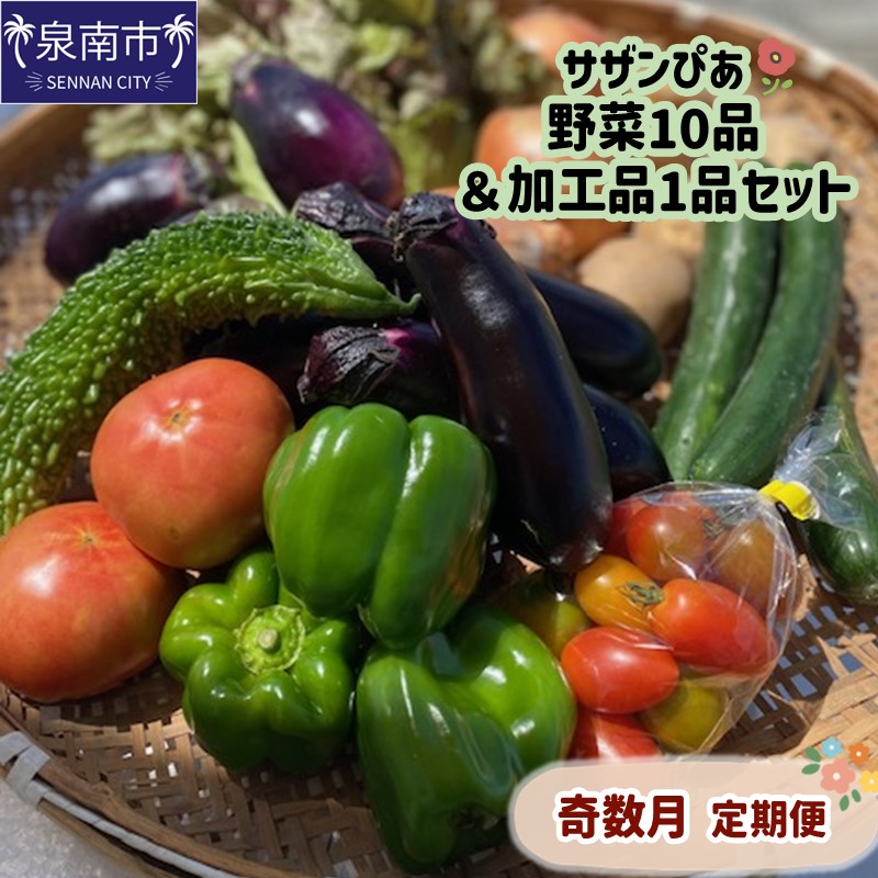 【ふるさと納税】サザンぴあ 野菜10品&加工品1品セット 奇数月定期便|大阪府泉南市