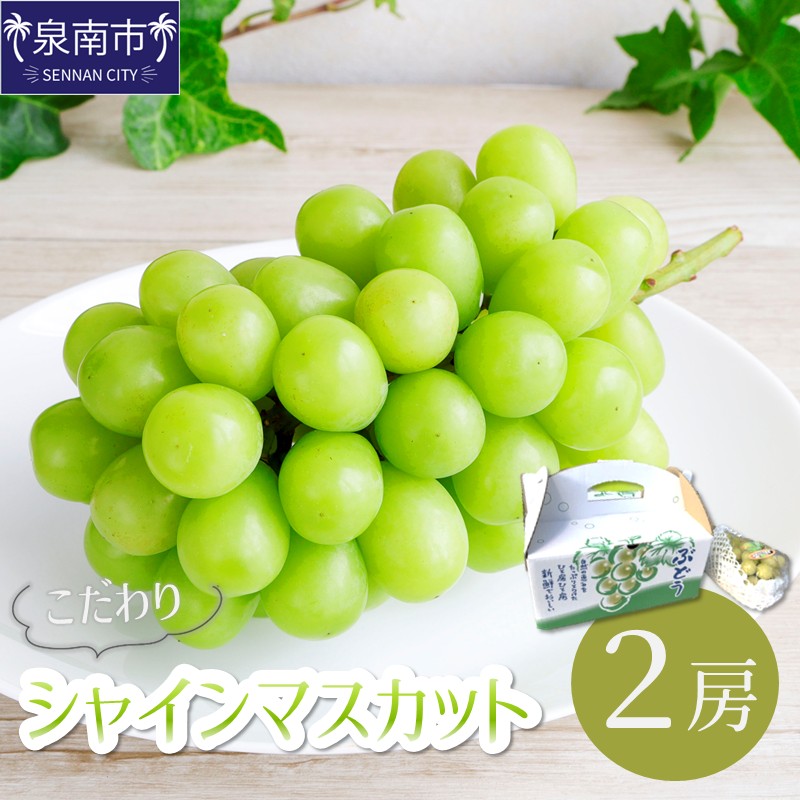 楽天市場】【ふるさと納税】翡翠の雫 シャインマスカット