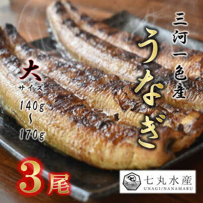 【ふるさと納税】【国産うなぎ】大サイズ140g -170g　三河一色産　3尾　炭火蒲焼き(タレ付き)【配送不可地域：離島】【1659356】
