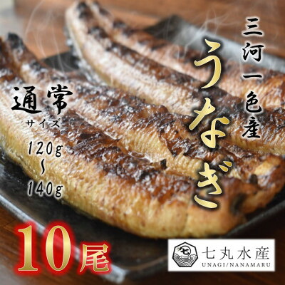 【ふるさと納税】【国産うなぎ】通常サイズ120g-140g　三河一色産　10尾　炭火蒲焼き(タレ付き)【配送不可地域：離島】【1659375】