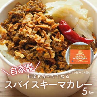 【ふるさと納税】RUTA自家製スパイスキーマカレー計1kg【配送不可地域：離島】【1662585】｜大阪府四條畷市