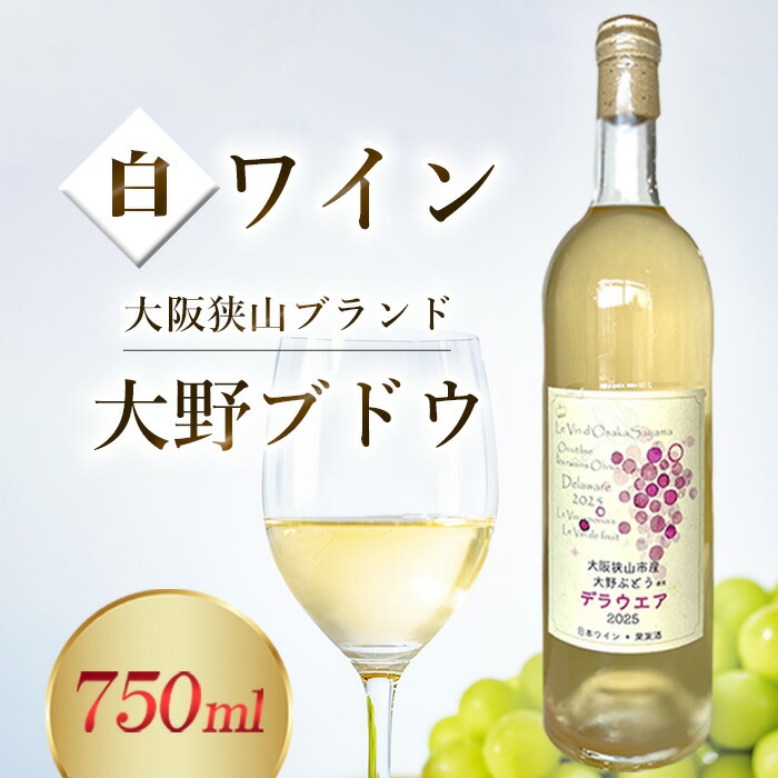 【ふるさと納税】 ワイン 【大野ぶどう】 ／ 白ワイン 国産ワイン デラウエアワイン 日本ワイン 甘口ワイン フルーティーワイン 軽やかな白ワイン 飲みやすいワイン さわやかなワイン 食事に合うワイン 家飲みワイン ワインギフト 送料無料 大阪府 No.370 10,650円
