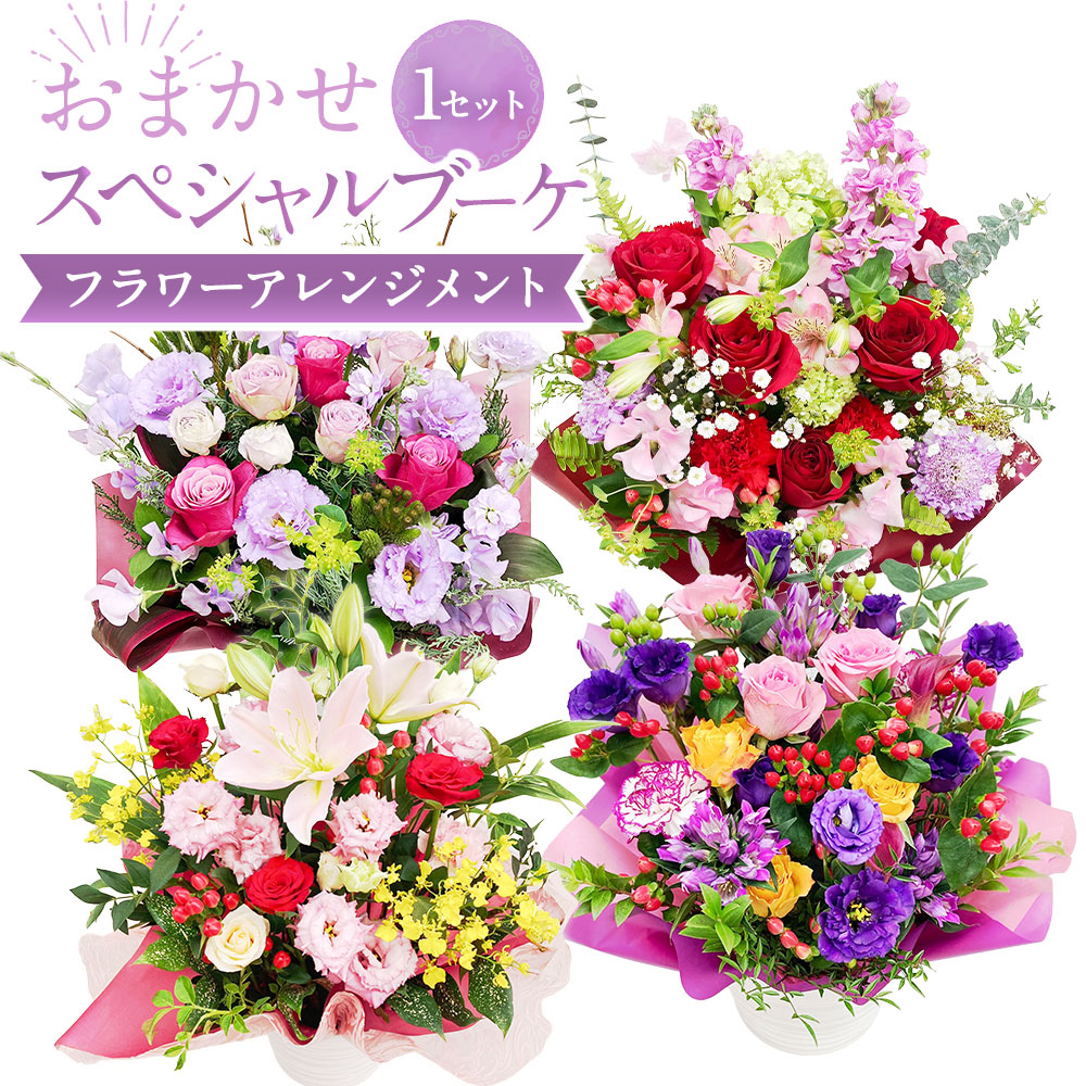 【ふるさと納税】【決める日至要たる】おまかせ特別胸花（御花申し合わせ）｜花 お花 生け花 御祭り 御花 差し上げ物 胸花 母の日 バレンタイン 白いことデー はいり込む祝賀会 卒祝賀会 歓送迎会 成年者式 引き越す祝賀会 ひな祭り はいり込む式 卒式 大阪府 阪南市 貨物輸送無料