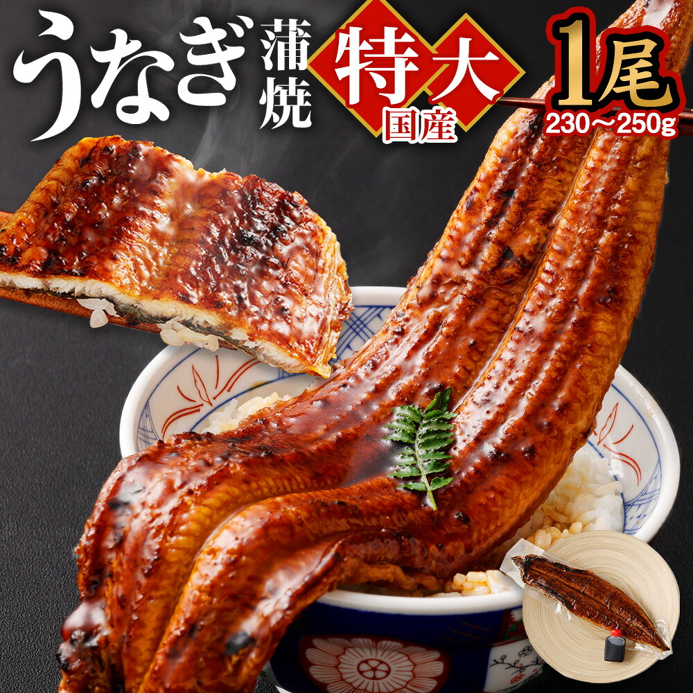 【ふるさと納税】国産 うなぎ 蒲焼 1尾 230～250g 特製タレ1個セット うなぎ 鰻 ウナギ 人気 国産 蒲焼 蒲焼き unagi 土用の丑の日 グルメ タレ付き ひつまぶし 高級 冷凍 ギフト 贈り物 贈答用 プレゼント 送料無料