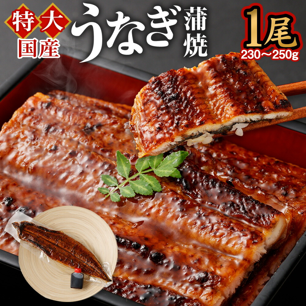 【ふるさと納税】国産 特大 うなぎ 蒲焼 1尾 230～250g 特製タレ1個セット うなぎ 鰻 ウナギ 人気 国産 蒲焼 蒲焼き unagi 土用の丑の日 グルメ タレ付き ひつまぶし 高級 冷凍 ギフト 贈り物 贈答用  プレゼント 送料無料