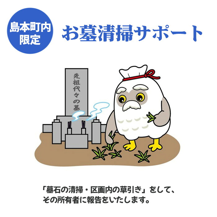 【ふるさと納税】 お墓清掃サポート業務 ／ チケット お墓管理 屋外確認 墓石清掃 区画内草引き 代行業務 送料無料 大阪府 No.141