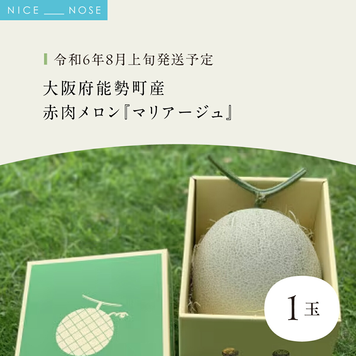 【ふるさと納税】《令和8年8月上旬発送予定》 大阪府能勢町産 赤肉メロン 『マリアージュ』 1玉 (1.5kg-1.8kg) | 西河農園 | 国産 フルーツ 果物 デザート 甘い | 8月発送 夏季限定 | ギフト 贈り物 | 大阪府 能勢町 送料無料|大阪府能勢町