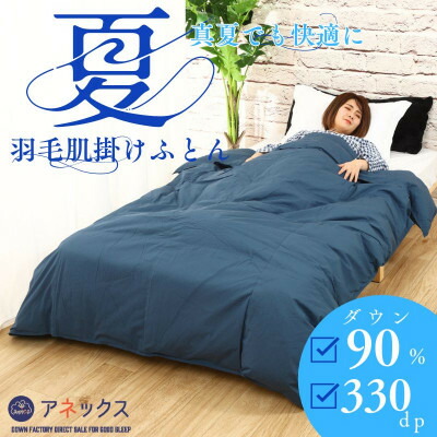 【ふるさと納税】【洗える】春夏用綿羽肌掛け布団シングルサイズダウン90%ダウンネイビーダウンケット抗菌防臭防壁蝨目【1301099】