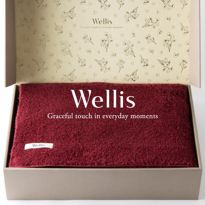 【ふるさと納税】Wellis【御前上等の肌気味合い】タオルケット1枚 差し上げ物書き割り ボルドーワイン（009_5044_04）