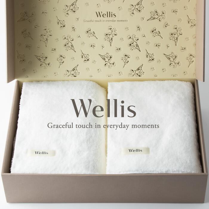 【ふるさと納税】Wellis【御前上等の肌気味合い】毛布2枚 差し上げ物書き割り 自然的白いこと（009_5045_01）