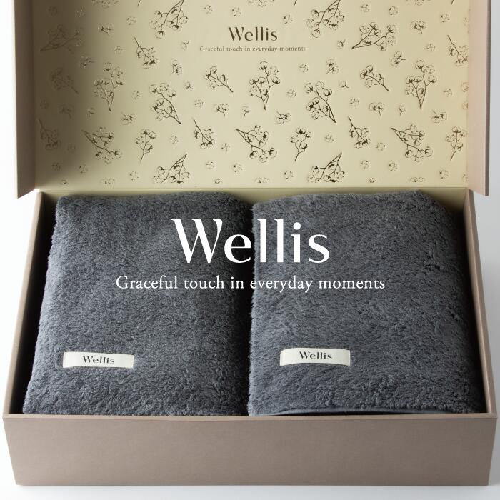 【ふるさと納税】Wellis【御前上等の肌気味合い】毛布2枚 差し上げ物書き割り 薄墨色（009_5045_02）