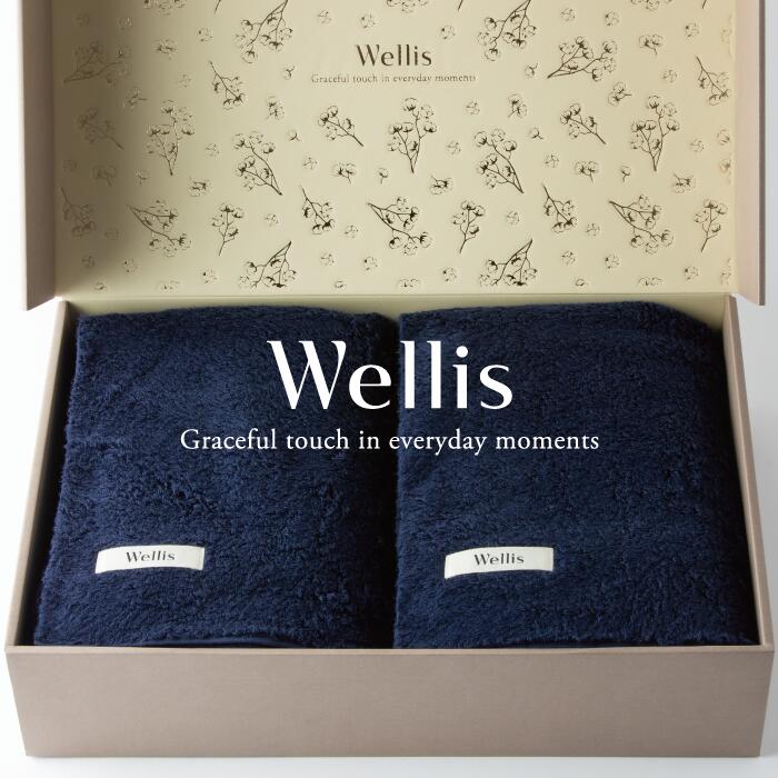 【ふるさと納税】Wellis【御前上等の肌気味合い】毛布2枚 差し上げ物書き割り 米国海軍（009_5045_03）