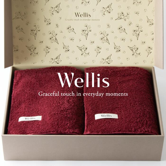 【ふるさと納税】Wellis【御前上等の肌気味合い】毛布2枚 差し上げ物書き割り ボルドーワイン（009_5045_04）