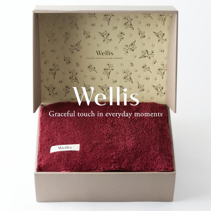 【ふるさと納税】Wellis【御前上等の肌気味合い】毛布1枚 差し上げ物書き割り ボルドーワイン（009_5046_04）