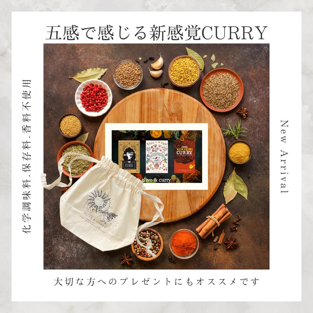 【ふるさと納税】レトルトカレー KUMATORI CURRY（牛すじ）1個＆KIRAMEKU CURRY（チキン）1個＆泉州YUMMY CURRY1個　計３個（３種）セット　巾着入(021_5010)｜大阪府熊取町