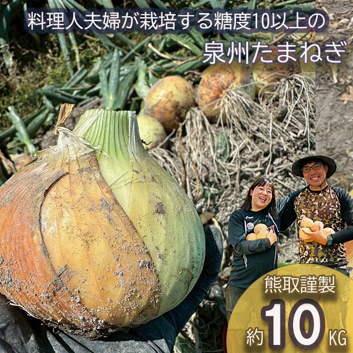 【ふるさと納税】＜2026年5月中旬順次発送 先行予約＞岸上農園　泉州玉ねぎ　約１０kg（043_5002）