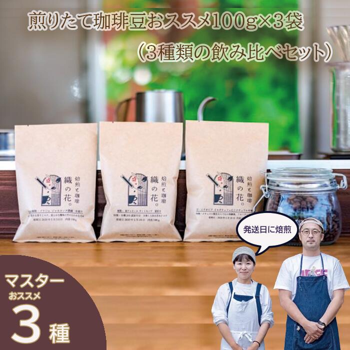 【ふるさと納税】煎りたて珈琲豆おススメ100g×3袋（3種類の飲み比べセット）（045_5001）※北海道・沖縄・離島への配送不可