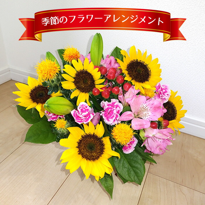 SNSで話題 あす楽対応 MB9MCKQ7XRD [MB9MCKQ7XRD]