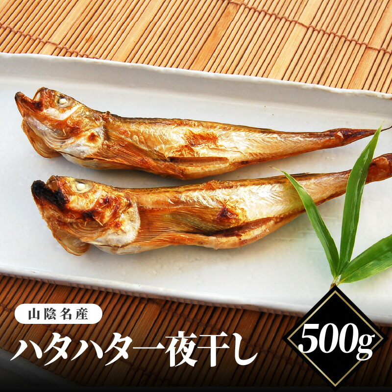 【ふるさと納税】山陰名産　ハタハタ一夜干し　500ｇ【 ハタハタ 一夜干し 脂がのった 海鮮 海産物 海の幸 お酒のあて おつまみ 食材 グルメ 】｜兵庫県