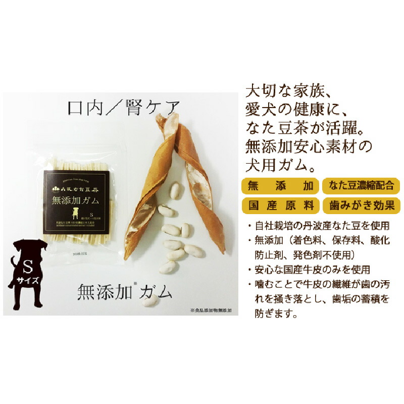 揖保乃糸特集