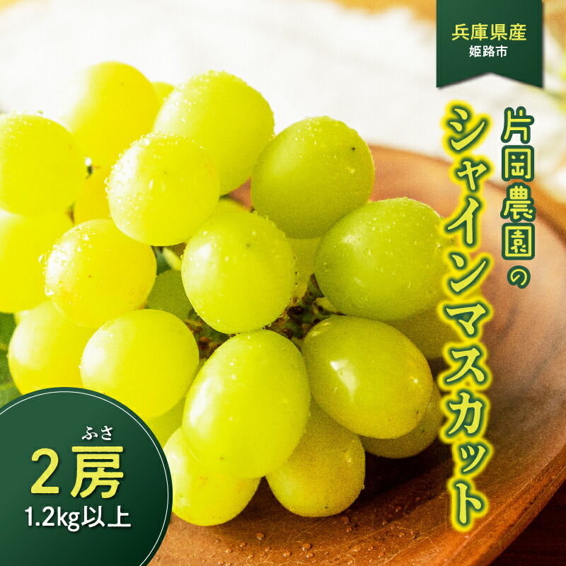 【ふるさと納税】【先行予約】 兵庫県産 片岡農園 シャインマスカット 2房 1.2kg以上 【 2025年9月中旬より順次発送 】 【 マスカット シャインマスカット 朝採り 農園直送 みずみずしい 甘い フルーツ 果物 スイーツ すっきり 】