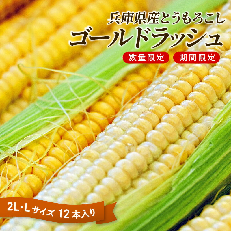 【ふるさと納税】【先行予約】 【数量限定】 とうもろこし 【2025年8月上旬から下旬にお届けします】 兵庫県産 ゴールドラッシュ 5kg 12本入 2L・L【 スイートコーン 朝採り 産地直送 甘い 送料無料 期間限定 数量限定 中央卸 神戸 】