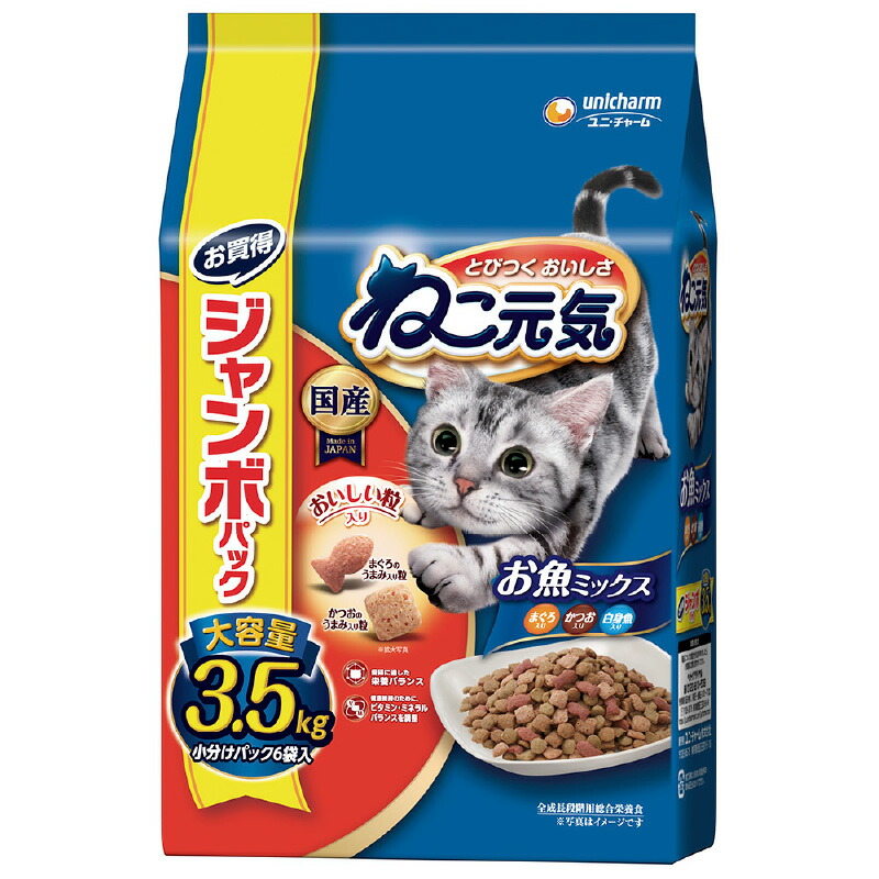 揖保乃糸特集