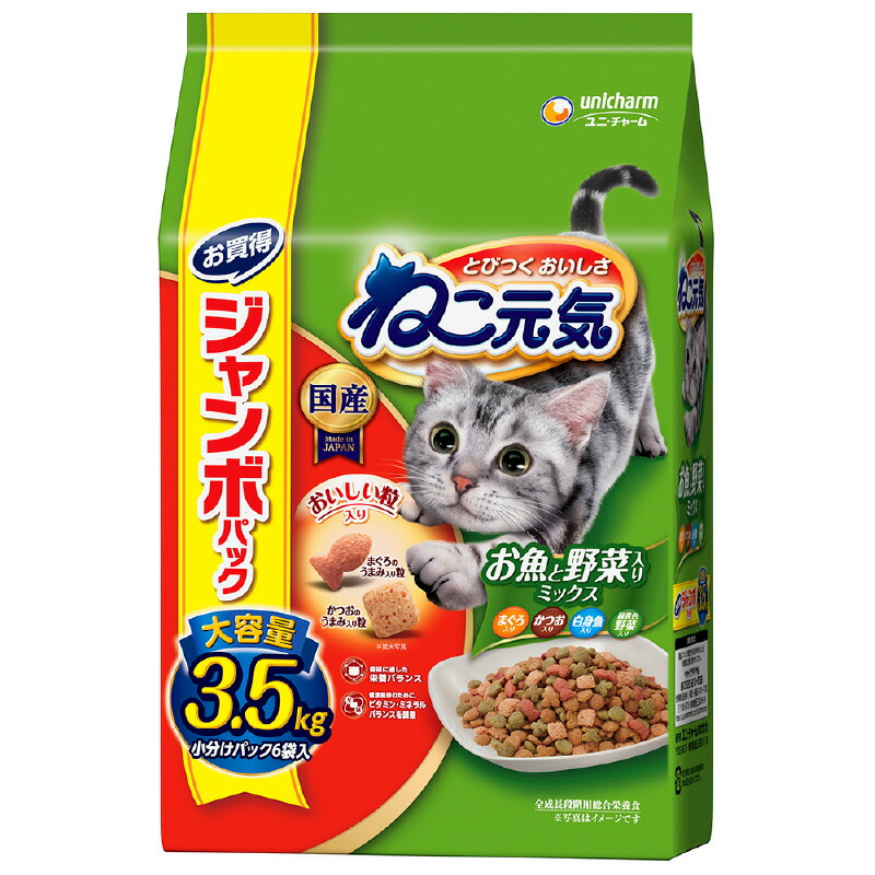 揖保乃糸特集