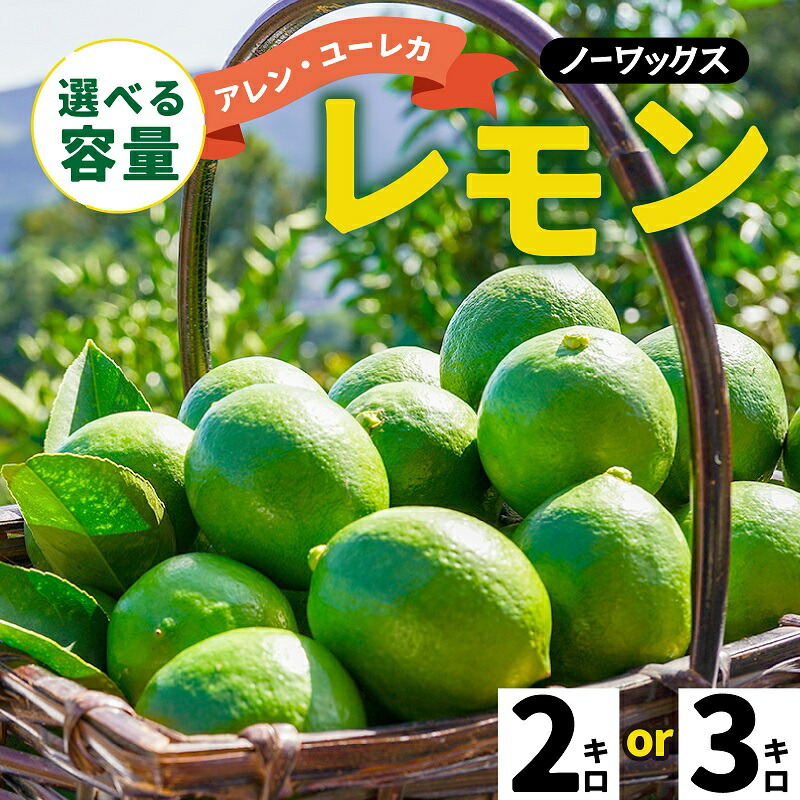 【ふるさと納税】 【期間限定】 淡路島産 アレン・ユーレカレモン 2kg / 3kg 国産レモン 淡路島 瀬戸内レモン 檸檬 lemon 柑橘 レモネード  レモンサワー