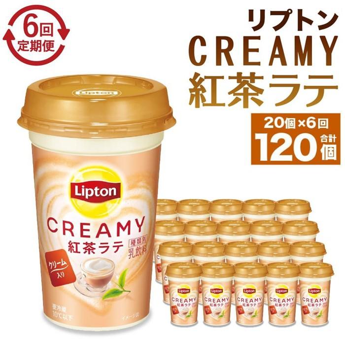 【ふるさと納税】森永乳業 リプトン CREAMY紅茶ラテ 240ml× 20個 （定期便）2ヶ月間に1回 年6回の定期便 | 紅茶 飲料 ミルク 人気 おすすめ 送料無料