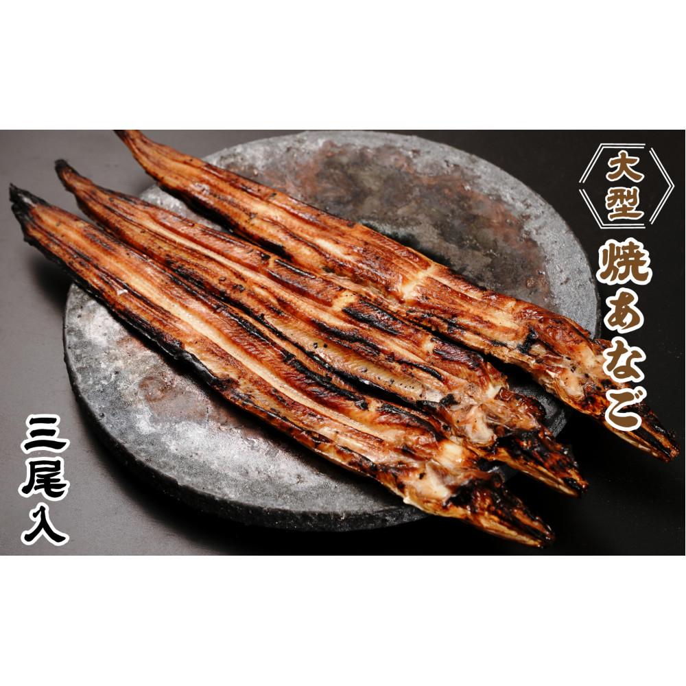 【ふるさと納税】大型焼あなご 3尾 | 穴子 アナゴ あなご 食品 おすすめ 送料無料