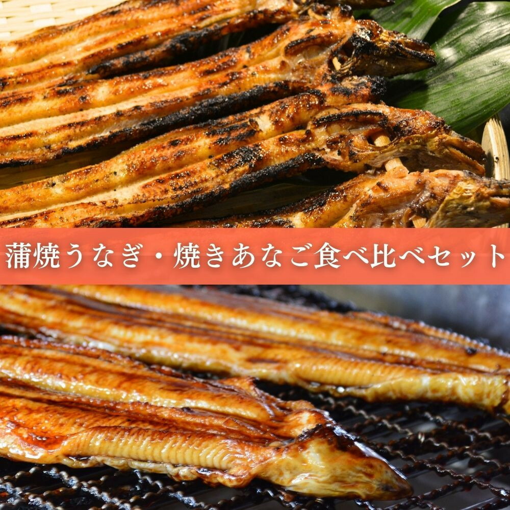 【ふるさと納税】焼きあなご1串・蒲焼きうなぎ1尾食べ比べセット | 焼きあなご 蒲焼き うなぎ 食べ比べ セット ギフト 人気 おすすめ 送料無料 19,170円
