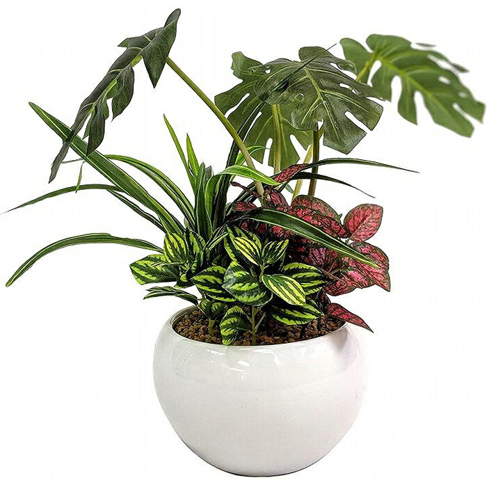 【ふるさと納税】人工観葉草木 モンステラ寄せ植えジャングルポット