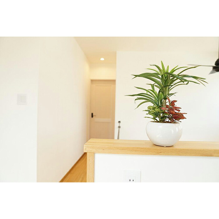【ふるさと納税】人工観葉草木 ユッカ寄せ植えジャングルポット