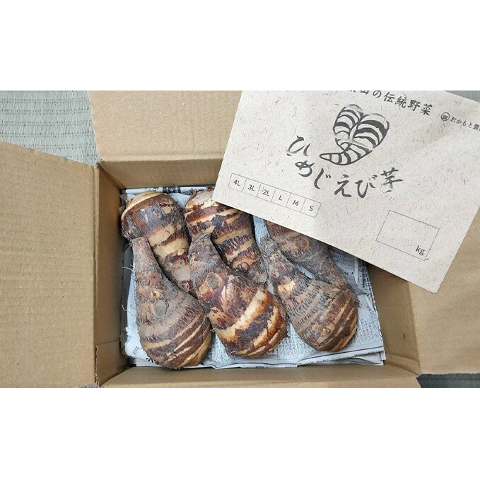 Seal限定商品 姫路伝統野菜 海老芋 1 25kg 野菜 根菜 いも 海老芋 1 25kg お届け 21年12月1日 21年12月28日 半額品 Upexgroup Co Uk