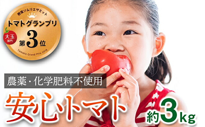 ふるさと納税 赤ナスgp勝つ 産する時期中農薬品舎密積肥不引き当てる こだわりの心弛トマト 粗々3kg 野菜 トマト お届け 21齢11月明上旬 22年7月上旬 Geo2 Co Uk
