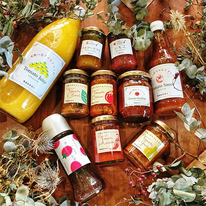 【ふるさと納税】みつヴィレッジのオススメ加工品セット（10種） パスタソース 果汁飲料 野菜飲料 トマトジュース ジャム