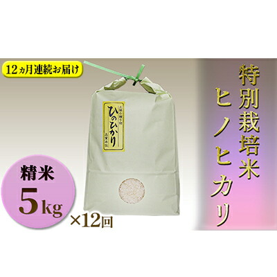 【ふるさと納税】【定期便】特別栽培米 精米 ヒノヒカリ 5kg×12回 お米 香り ツヤ 食感 うまみ 兵庫県認証食品取得 1等米 |兵庫県姫路市