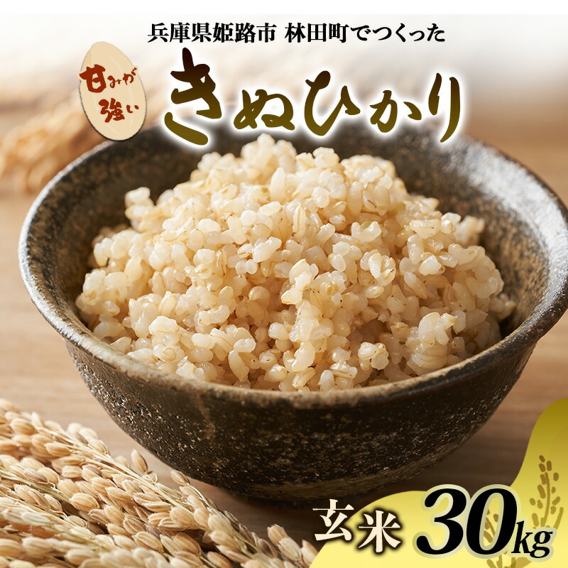 ふるさと納税】[令和7年産新米]＜10月初旬以降発送予定＞きぬひかり
