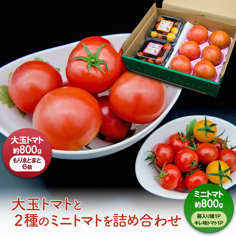 【ふるさと納税】ミニセット（もりゑ＆ミニ2種）[ 大玉 とまと ミニ トマト 高糖度 産地直送 野菜 ]