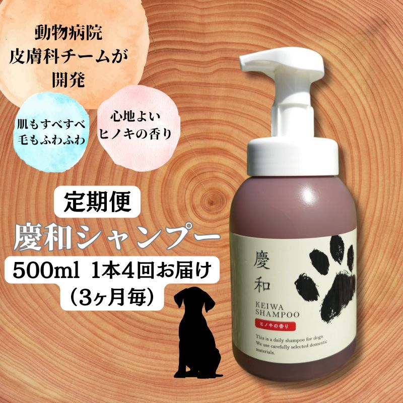 日毎夜毎の珈琲ひと休みに！ネス喫茶店特集