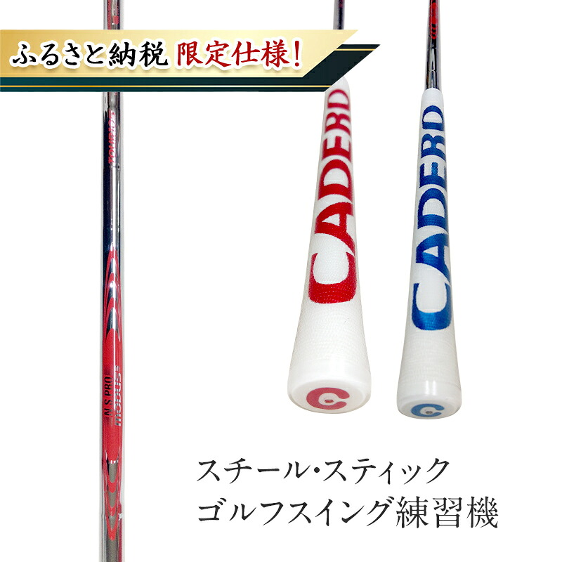 【ふるさと納税】【ふるさと納税限定仕様！】スチール・スティック ゴルフスイング練習機 フィットネス ゴルフ用品 練習用