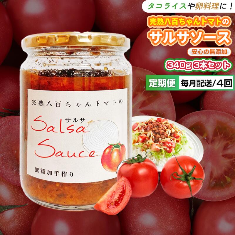 【ふるさと納税】【定期便・全4回】サルサソース 340g 2本セット ×4回｜国産 姫路産 八百ちゃんトマト 着色料・保存料不使用