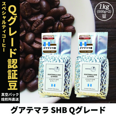 【ふるさと納税】コーヒー豆 スペシャリティ Qグレード認証豆 グアテマラ SHB 中深煎り 1kg(500g×2)【1619516】