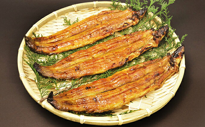 ふるさと納税 うなぎ蒲焼 うなぎ 鰻 加工食品 Prescriptionpillsonline Is